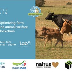Sensowave as part of Cattlechain event to optimize farm productivity and animal welfare